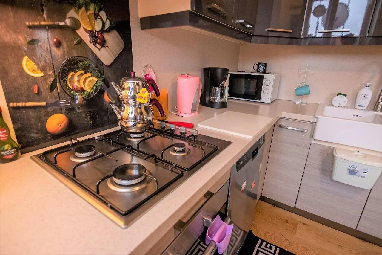 Roya Apartment Taksim - Center Of The Istanbul