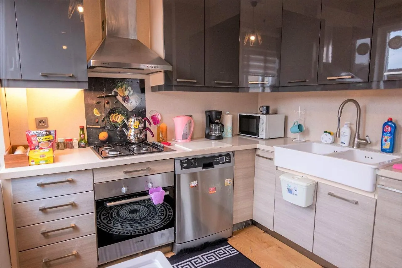 Roya Apartment Taksim - Center Of The Istanbul Turkey